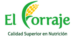 https://cargueylogistica.com/wp-content/uploads/2020/12/28-EFICOL-WEB.jpg