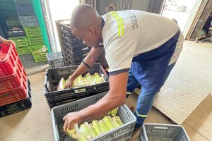 Consejos para el cargue y descargue de contenedores